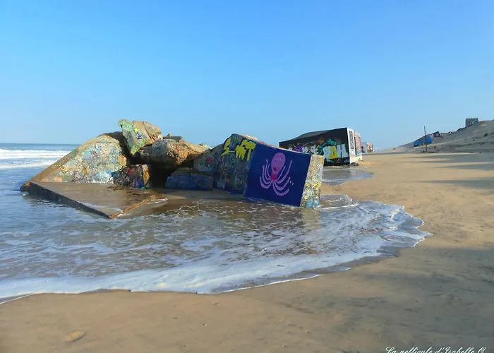 Bleuvelours Bed & Breakfast Andernos-les-Bains